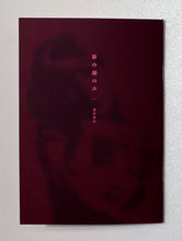 画像をギャラリービューアに読み込む, 短編小説『影の顔の声』